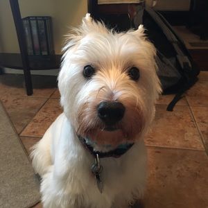 Meet your Posher, Bethany